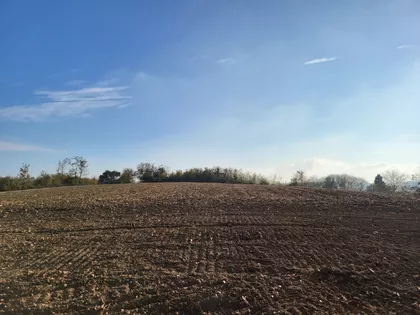 Studenička 5 | 4zida.rs