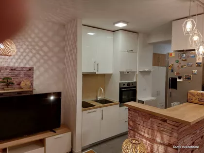 Vase Pelagića | 4zida.rs