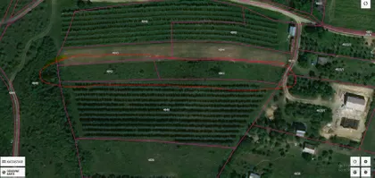 Lukijana Mušickog | 4zida.rs