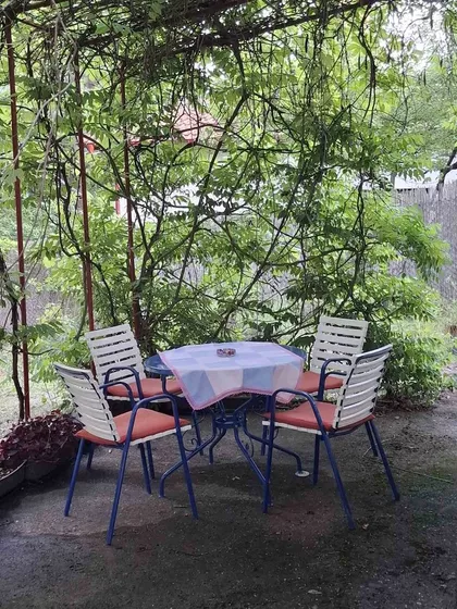 Stara Lipovica | 4zida.rs
