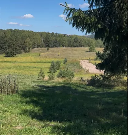 Beogradska | 4zida.rs