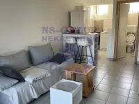 Salajka, Gradske lokacije, Novi Sad | 4zida.rs