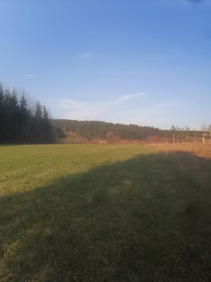 Tarska | 4zida.rs
