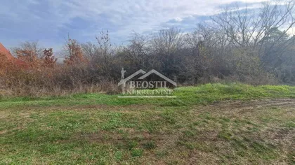 Boška Buhe | 4zida.rs