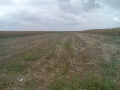 Skrobara Trg Maršala Tita | 4zida.rs