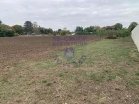 Čenej, Okolne lokacije, Novi Sad | 4zida.rs