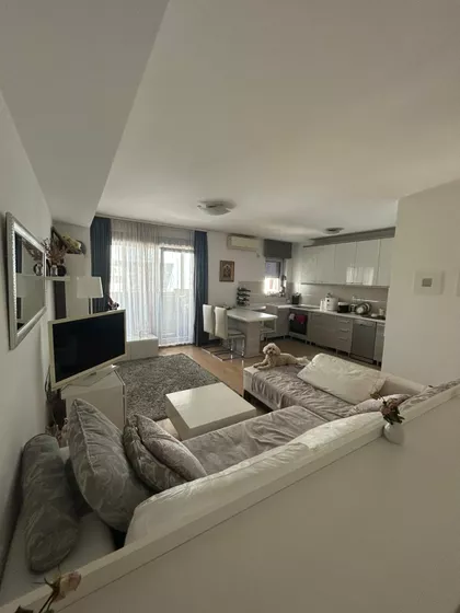 Nikodima Milaša | 4zida.rs