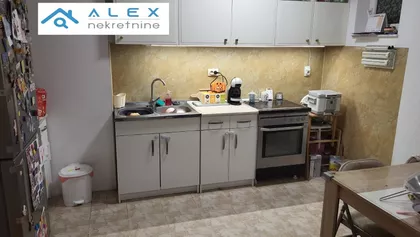 Dr Svetislava Kasapinovića | 4zida.rs