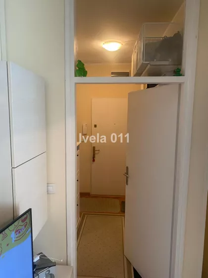 Milorada Šapčanina | 4zida.rs