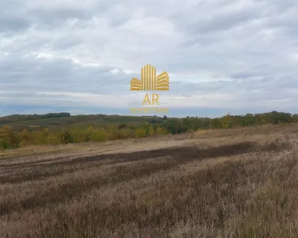 Gorovič  | 4zida.rs