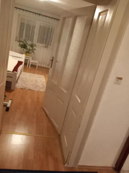 Vase Stajića | 4zida.rs