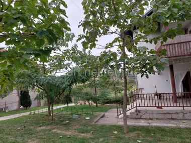 Svetolika Rankovića