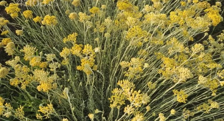 Poljoprivredno zemljište | 4zida