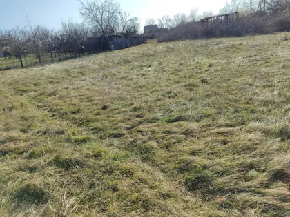 Ostružnica | 4zida.rs