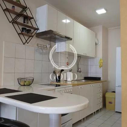 Miše Dimitrijevića | 4zida.rs