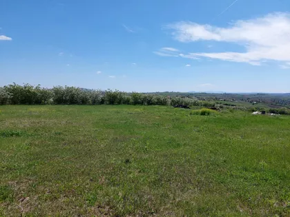 Ljube Stanisavljevića | 4zida.rs