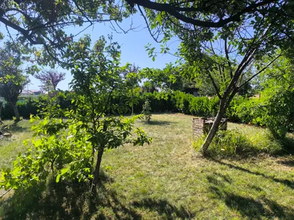 Rumenka | 4zida.rs