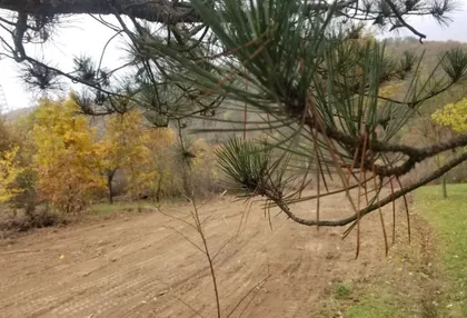 Barajevo (mesto) | 4zida.rs
