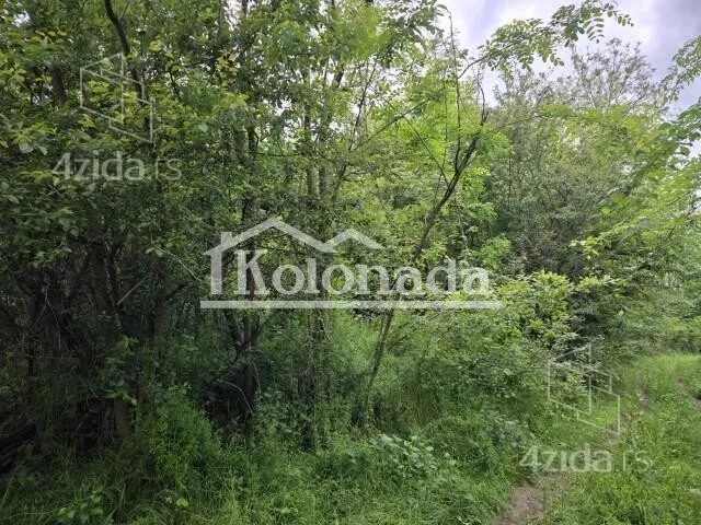 Poljoprivredno zemljište | 4zida