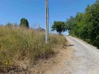 Bocke, Sremska Kamenica, Gradske lokacije, Novi Sad | 4zida.rs