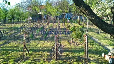 Vinogradarska