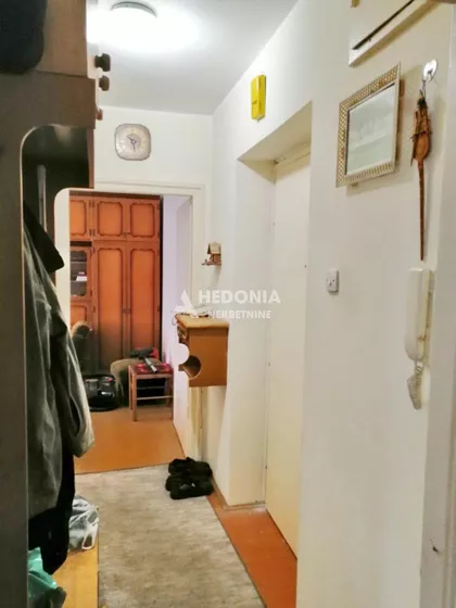 Milana Uzelca | 4zida.rs