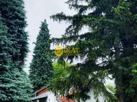 Banstol, Okolne lokacije, Sremski Karlovci | 4zida.rs
