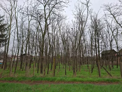 Lenjinova 50 | 4zida.rs