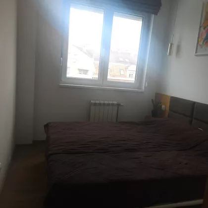 Vojvode Šupljikca | 4zida.rs
