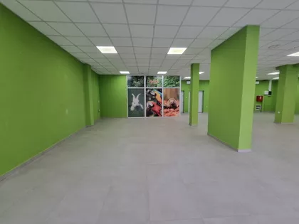 Zmaj Jovina | 4zida.rs