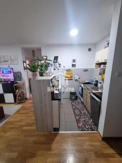 Đorđa Čutukovića | 4zida.rs