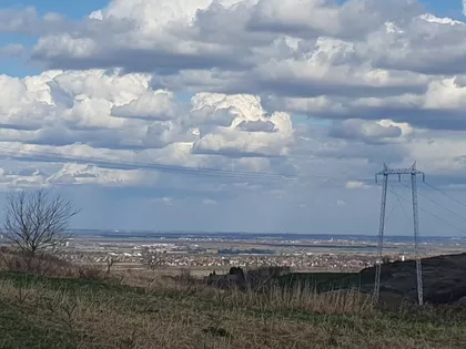 Čerević | 4zida.rs