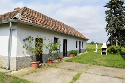 Bački Vinogradi | 4zida.rs