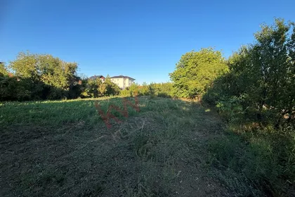 Trifuna Pešića | 4zida.rs