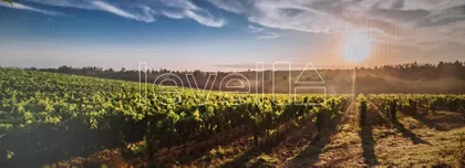 Banoštor | 4zida.rs