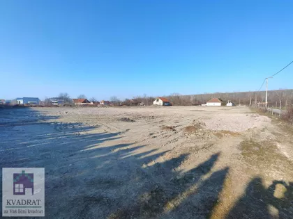 Krtinska | 4zida.rs