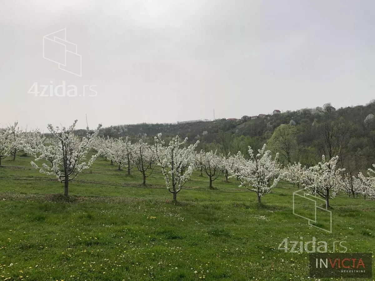 Poljoprivredno zemljište | 4zida