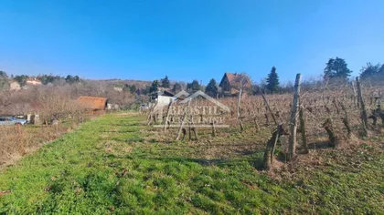 Dunavski venac | 4zida.rs