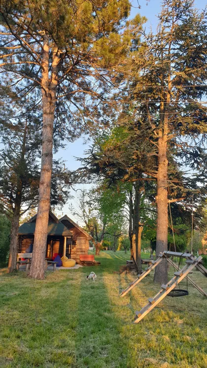 Beogradski Put 997G | 4zida.rs