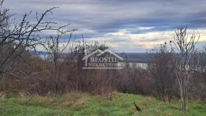 29. novembra | 4zida.rs