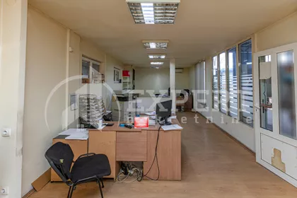 Ivana Milutinovića | 4zida.rs