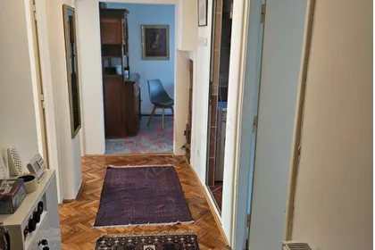 Sanje Živanovića | 4zida.rs