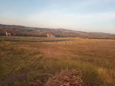 Vranić