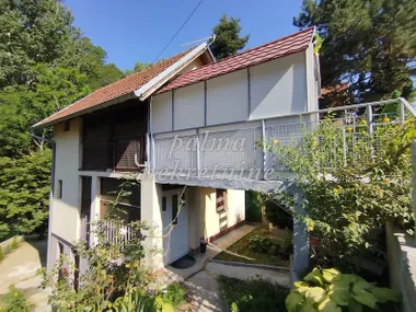 Gornja Trepča