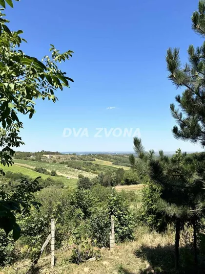 Fruška Gora | 4zida.rs
