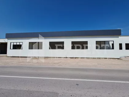 Dušana Trifunca | 4zida.rs