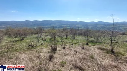 Krivovirska | 4zida.rs