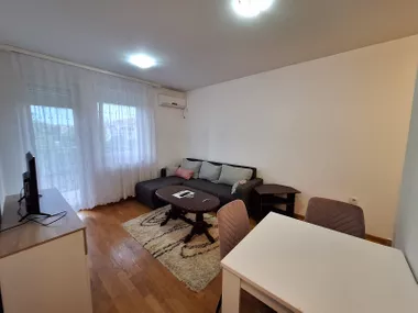 Janka Veselinovića