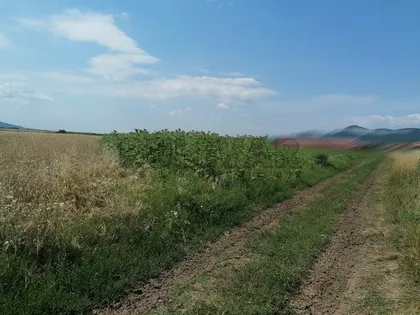 Toponički put | 4zida.rs