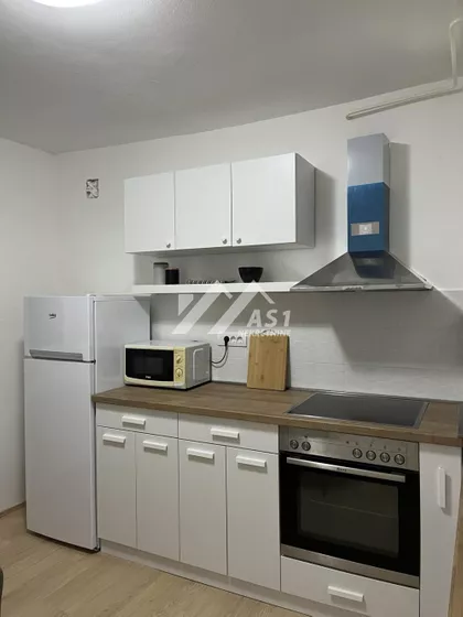 Nadežde Petrović | 4zida.rs